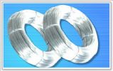 Galvanized Iron Wire 